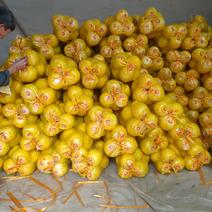 香柚湖南柚子产地直发量大从优货量充足欢迎
