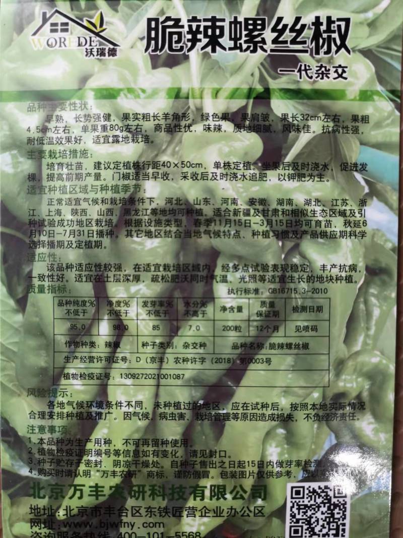 脆辣螺丝椒种子春秋播蔬菜种子菜种籽超长特香辣青椒种孑