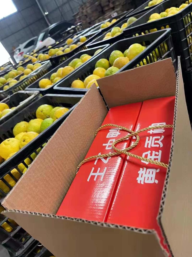 湖南怀化黄金贡柚柚子一件代发产地直发平台供应