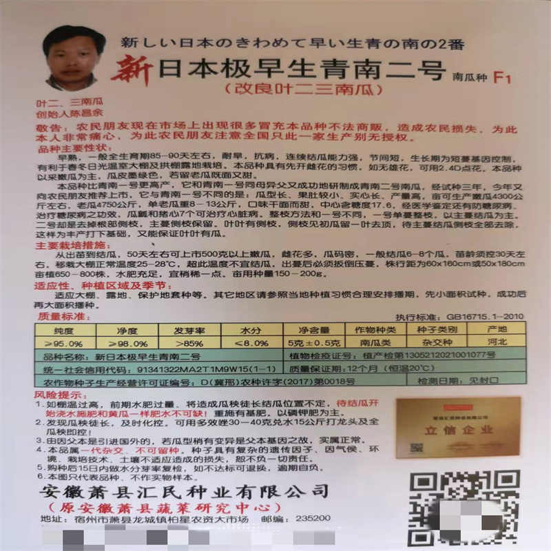 新日本极早生青南瓜2号种子果肚较小实大田菜瓜黑皮青南瓜籽
