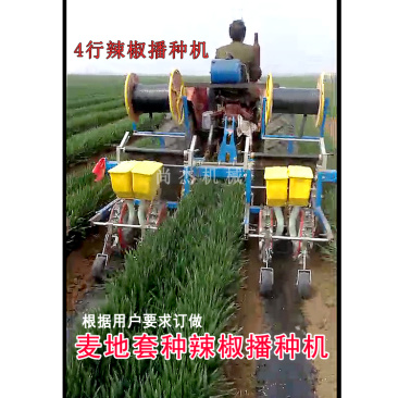 麦地套种辣椒播种机4行小麦套播覆膜播种机2行朝天椒播种机
