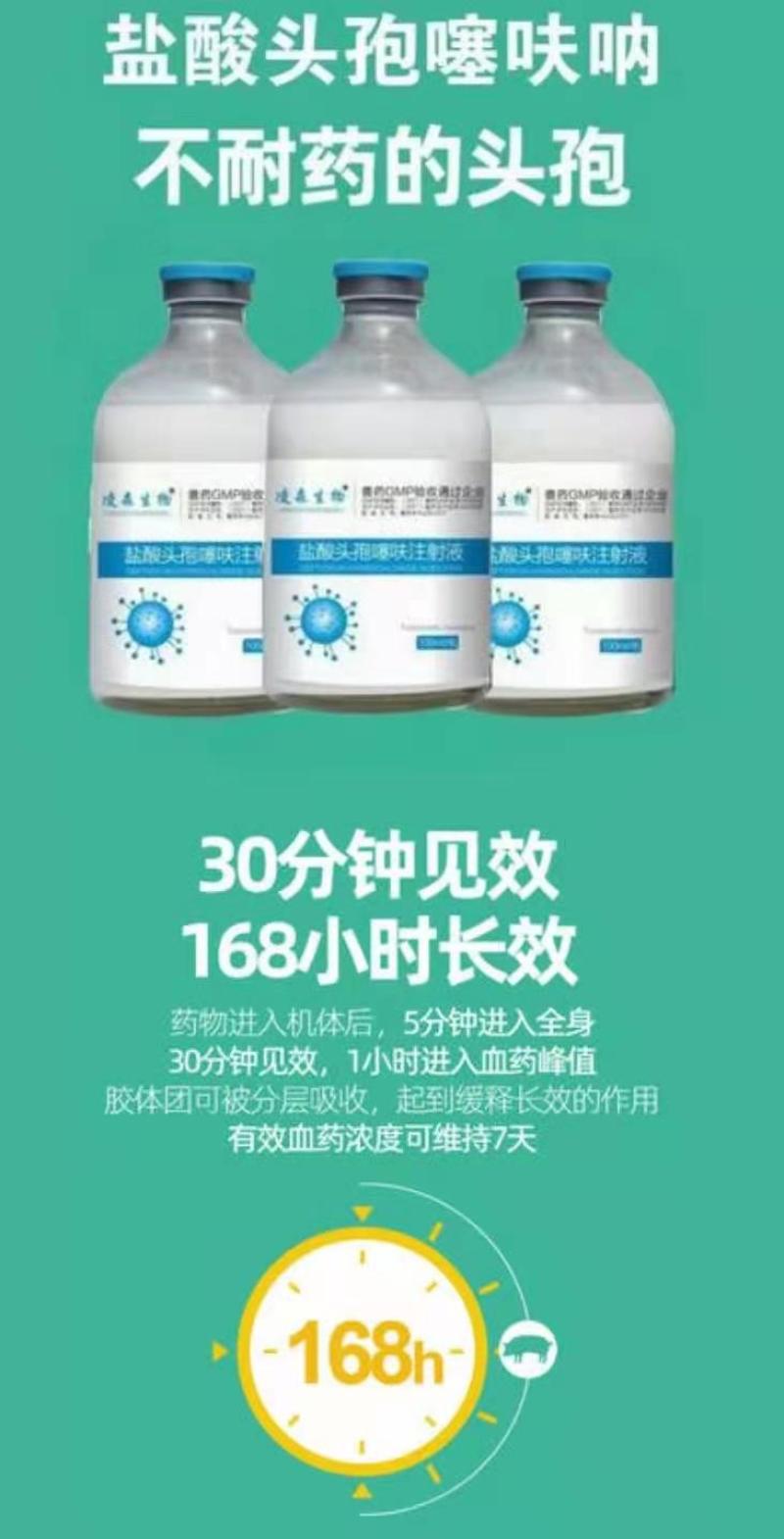 盐酸头孢噻呋注射兽用液长效头孢噻呋钠混悬猪药鸡鸭鹅用禽药