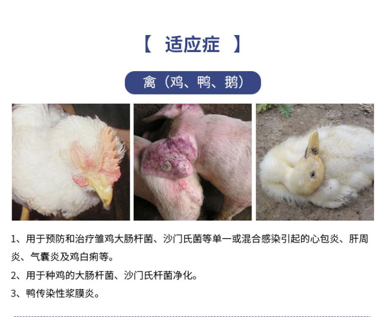 盐酸头孢噻呋注射兽用液长效头孢噻呋钠混悬猪药鸡鸭鹅用禽药