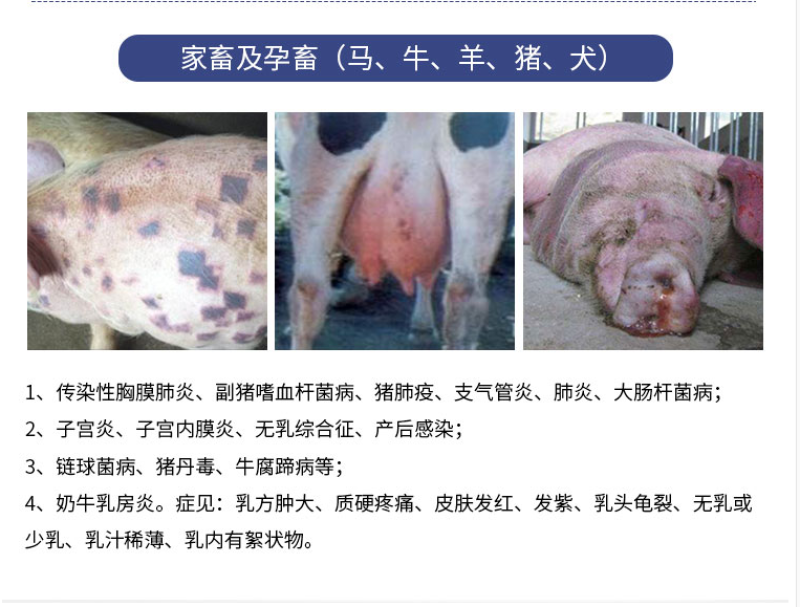 盐酸头孢噻呋注射兽用液长效头孢噻呋钠混悬猪药鸡鸭鹅用禽药