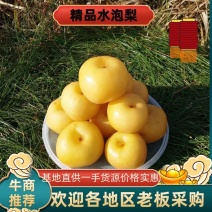 腌梨水泡梨，基地直供一手货源大量上市诚信经营欢迎采购