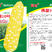 汕研佛甜10号耐热双色甜玉米玉米种子