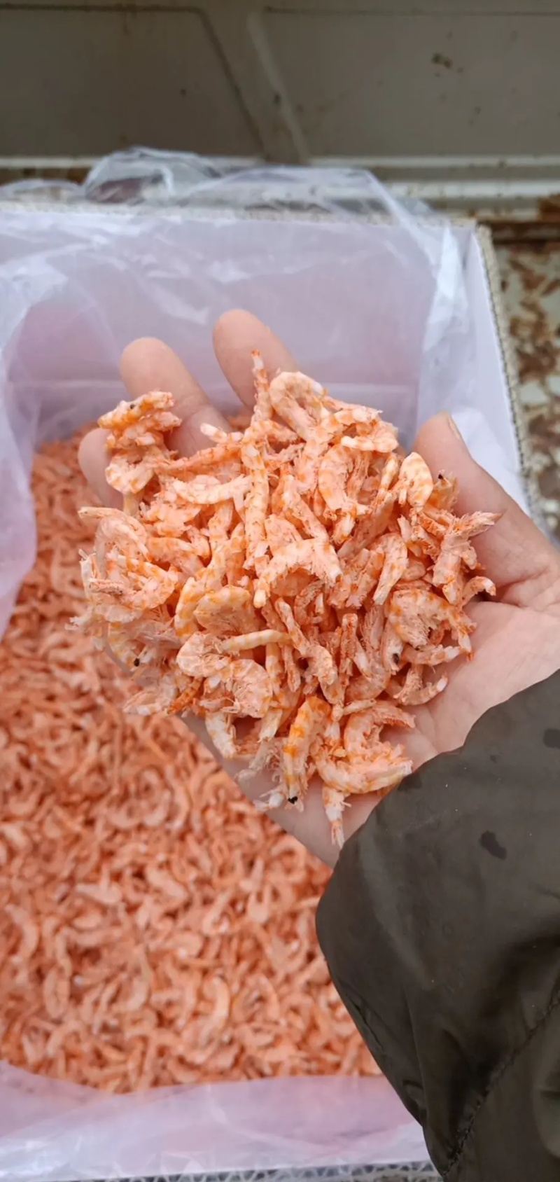 虾仁山东沾化海米产地直销量大价优质量有保证全国发货
