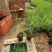 芦苇培育基地水生植物基地芦苇小苗价格