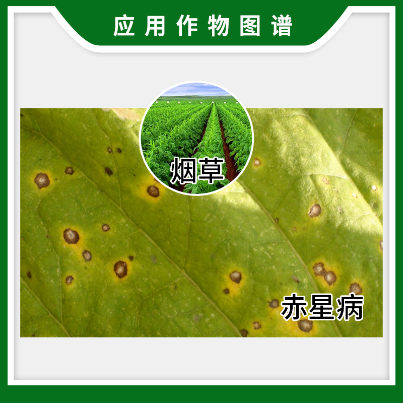 菌核净烟草油菜灰霉病菌核病黑星病赤星病杀菌剂