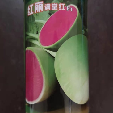 杂交北京满堂红种子绿皮红拖车头心里美萝卜种子高产不糠心