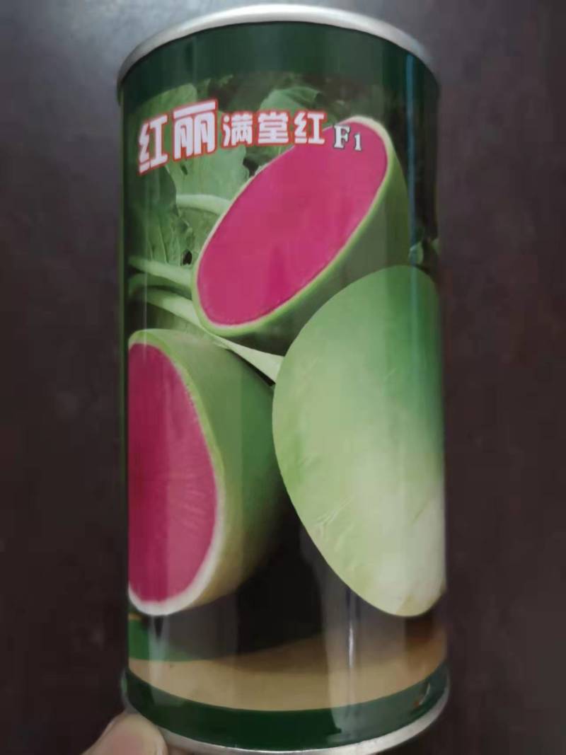 杂交北京满堂红种子绿皮红拖车头心里美萝卜种子高产不糠心