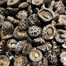 通江段木花菇，干香菇质量保证，对接各大商超市场