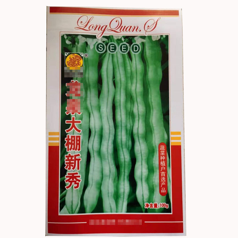 大棚新秀芸豆种子高产长芸豆种子荚长荚多春秋种植