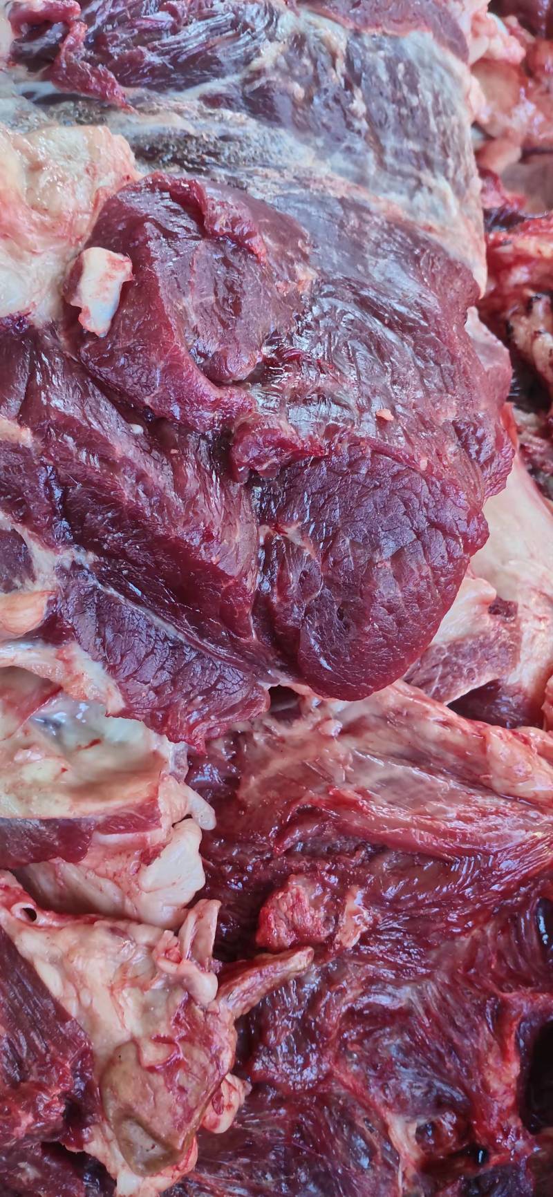 【优选】新鲜驴肉货量充足量大从优规格齐全包邮到家！