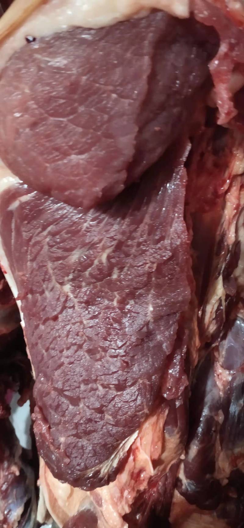 【优选】新鲜驴肉货量充足量大从优规格齐全包邮到家！