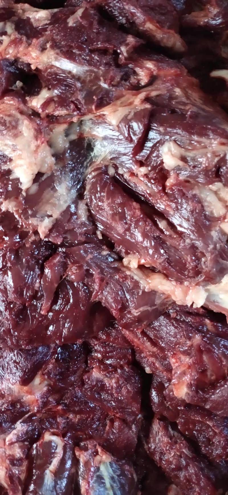 【优选】新鲜驴肉货量充足量大从优规格齐全包邮到家！