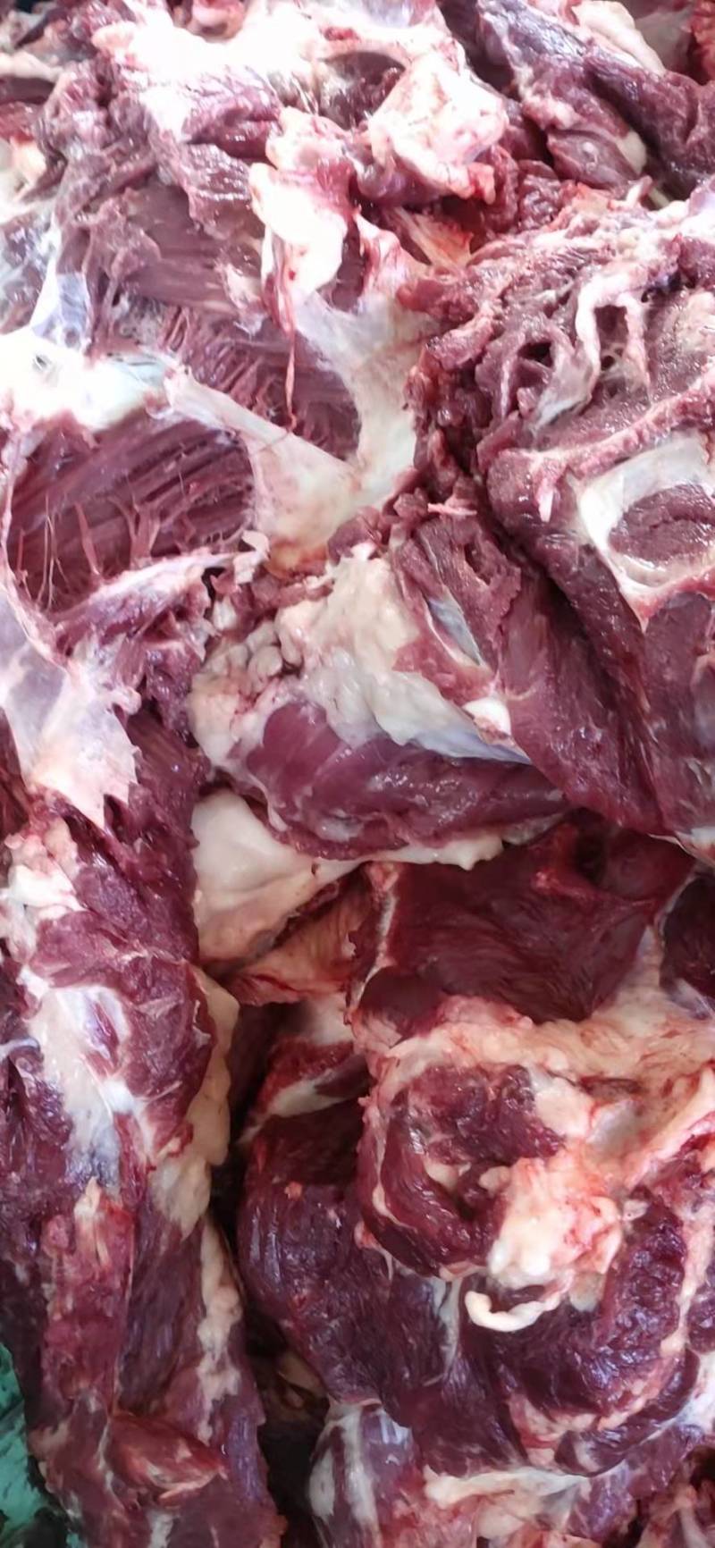 【优选】新鲜驴肉货量充足量大从优规格齐全包邮到家！
