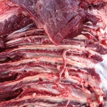 【精品】马肉鲜货货量充足，量大从优货量充足欢迎选购！
