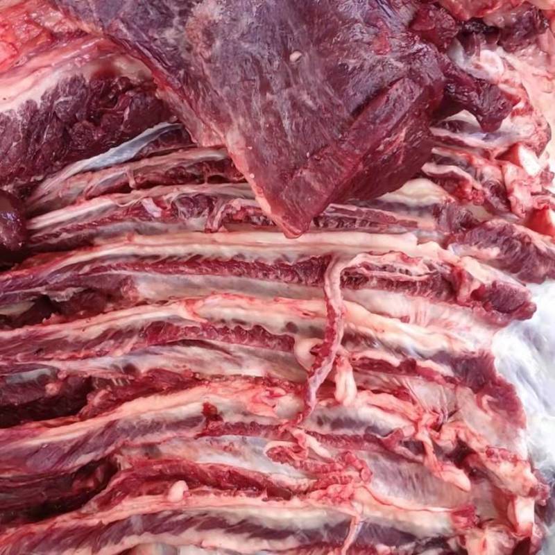 【精品】马肉鲜货货量充足，量大从优货量充足欢迎选购！