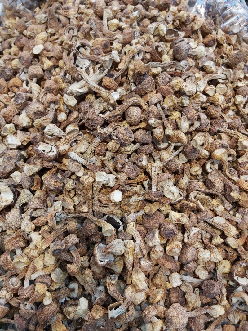 精品通江姬松茸，大量现货，干货易泡发口感纯正