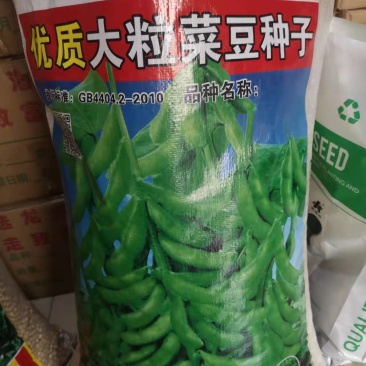 鲜食大粒毛豆种子早熟高产青豆黄豆菜豆籽春四季大粒菜豆种孑