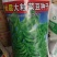 鲜食大粒毛豆种子早熟高产青豆黄豆菜豆籽春四季大粒菜豆种孑
