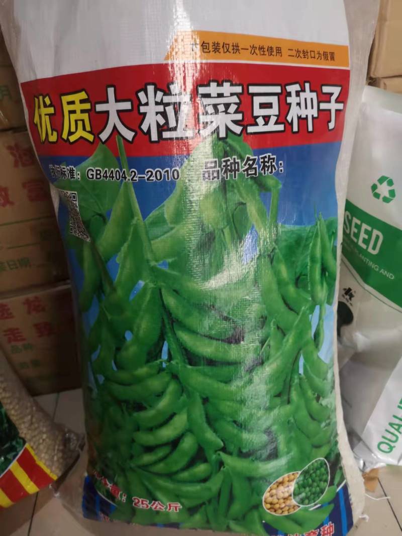 鲜食大粒毛豆种子早熟高产青豆黄豆菜豆籽春四季大粒菜豆种孑