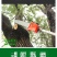 高枝锯多功能汽油修剪机割草机绿篱机高枝剪高枝油锯割灌机