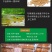 【年货】29.9元310g万坪豆腐土司故里弱碱水手工制作
