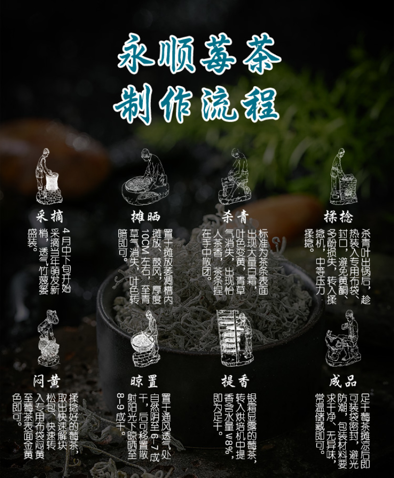 【年货】19.9元20克一罐古溪州大丰莓茶