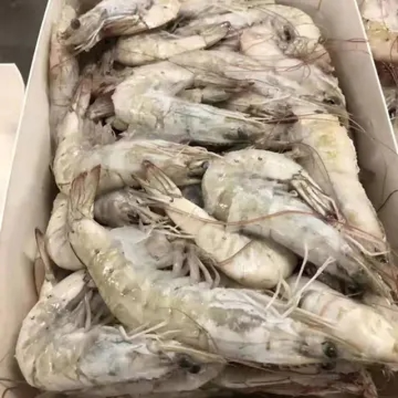 海捕大虾南美海虾活冻海洋虾对虾青虾基围虾海鲜