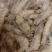 海捕大虾南美海虾活冻海洋虾对虾青虾基围虾海鲜