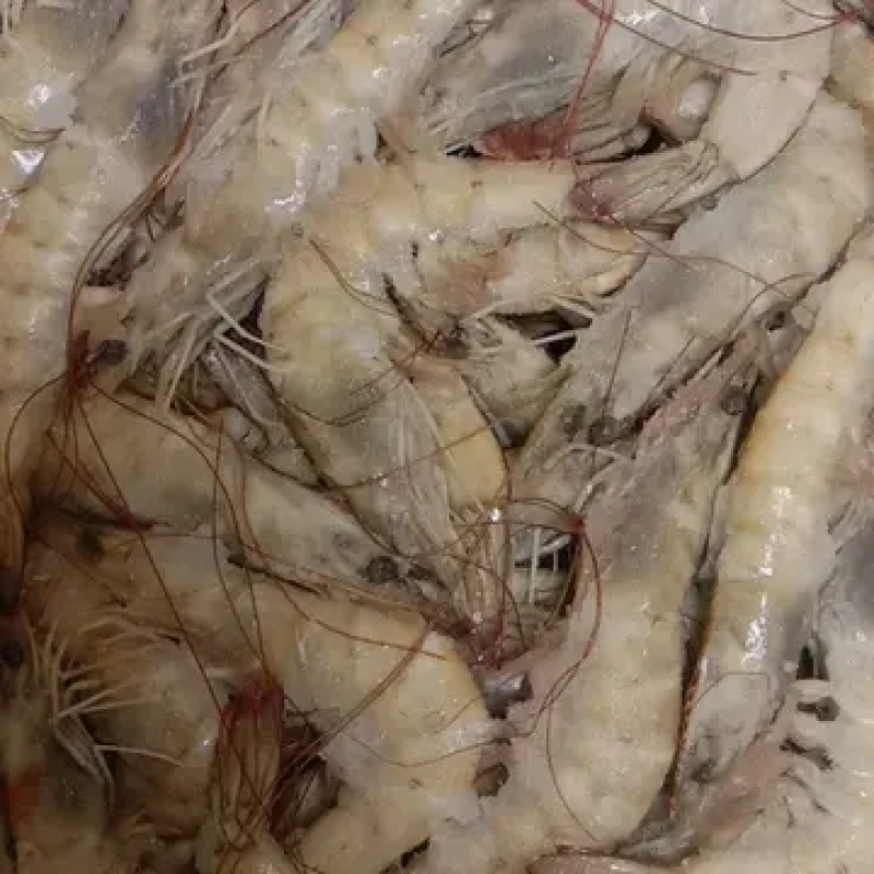 海捕大虾南美海虾活冻海洋虾对虾青虾基围虾海鲜