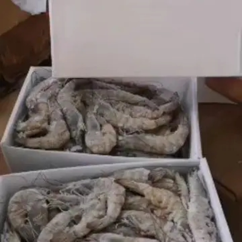 海捕大虾南美海虾活冻海洋虾对虾青虾基围虾海鲜