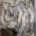 海捕大虾南美海虾活冻海洋虾对虾青虾基围虾海鲜