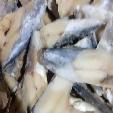 鲅鱼块鲅鱼马鲛鱼鲅鱼新鲜冷冻鲅鱼块海鲜鲜