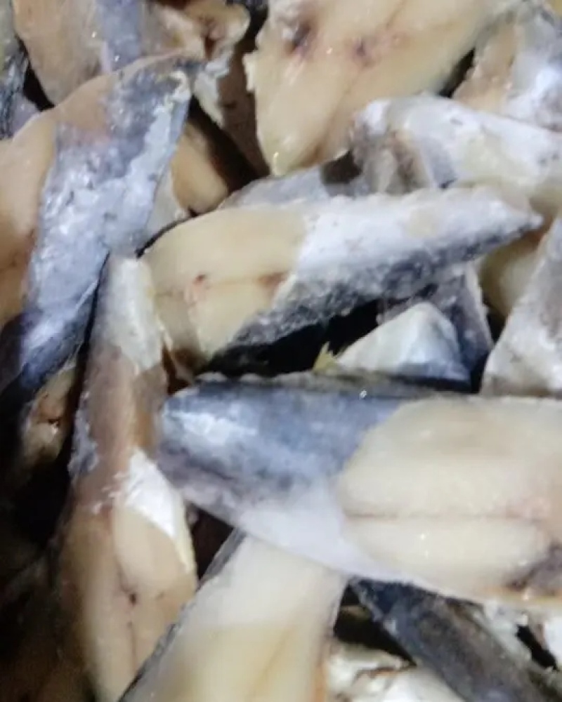 鲅鱼块鲅鱼马鲛鱼鲅鱼新鲜冷冻鲅鱼块海鲜鲜