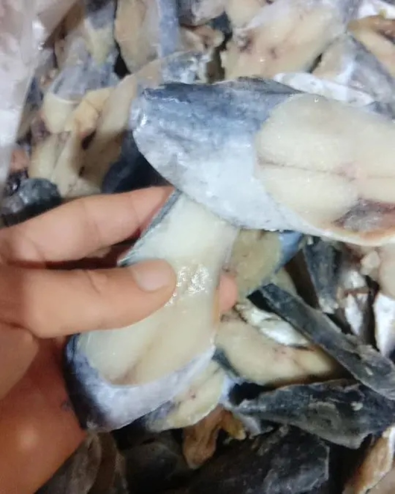 鲅鱼块鲅鱼马鲛鱼鲅鱼新鲜冷冻鲅鱼块海鲜鲜