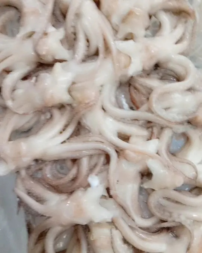 鱿鱼头鱿鱼海鲜水产章鱼鱿鱼须冷冻鱿鱼头香嫩鱿鱼头
