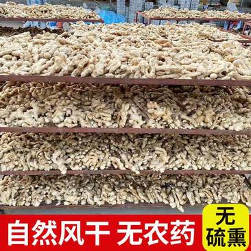小黄姜生姜产地姜窖直发支持超市市场配货电商供货