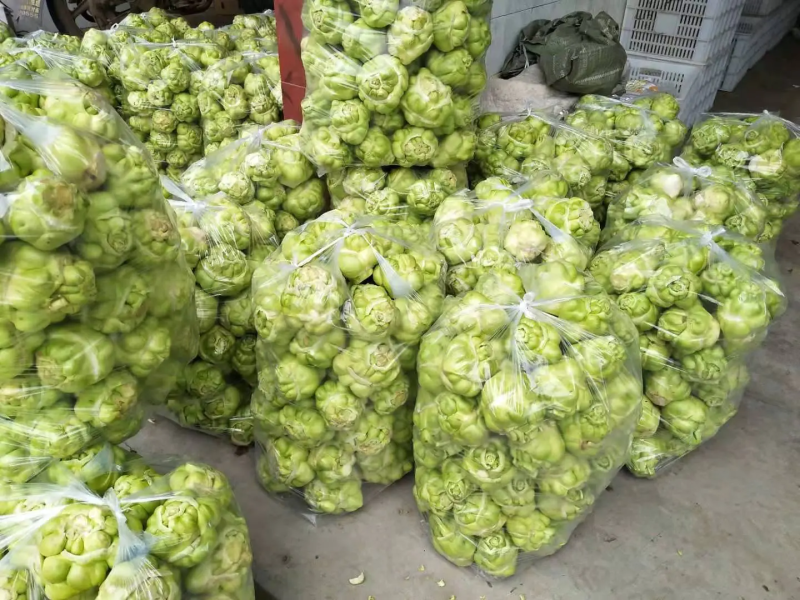 榨菜一件代发四川精品鲜榨菜，大量有货基地直发