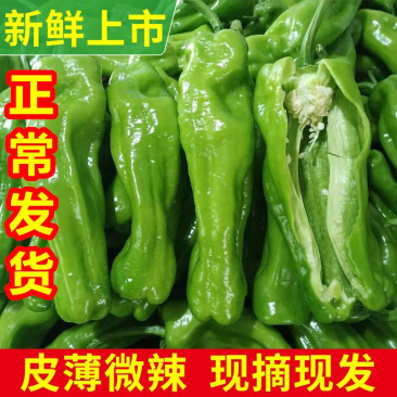 【精选】薄皮椒广东青椒，产地直发，量大从优，欢迎选购