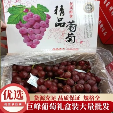 巨峰葡萄电商社区代发品质保证五斤礼盒装欢迎来电