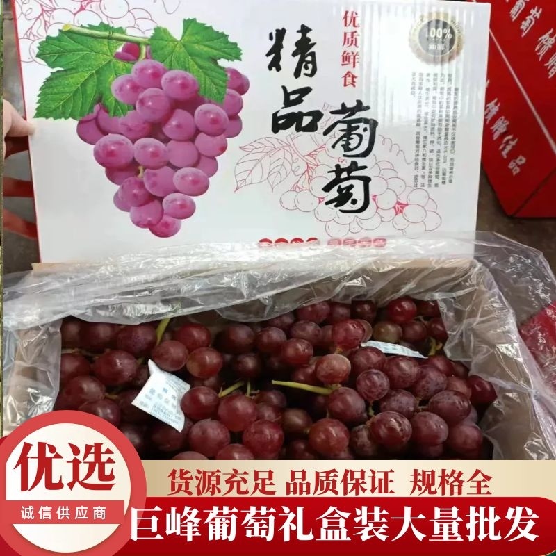 巨峰葡萄电商社区代发品质保证五斤礼盒装欢迎来电