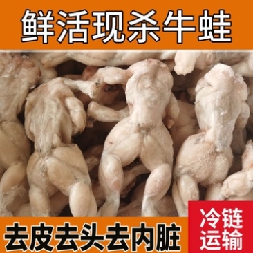 新鲜速冻牛蛙腿田鸡肉青蛙肉麻辣美味牛蛙肉牛蛙冷冻