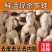 新鲜速冻牛蛙腿田鸡肉青蛙肉麻辣美味牛蛙肉牛蛙冷冻