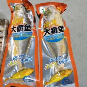 深海大黄鱼新鲜大黄花鱼鲜活冰鲜真空装大黄鱼海鲜水
