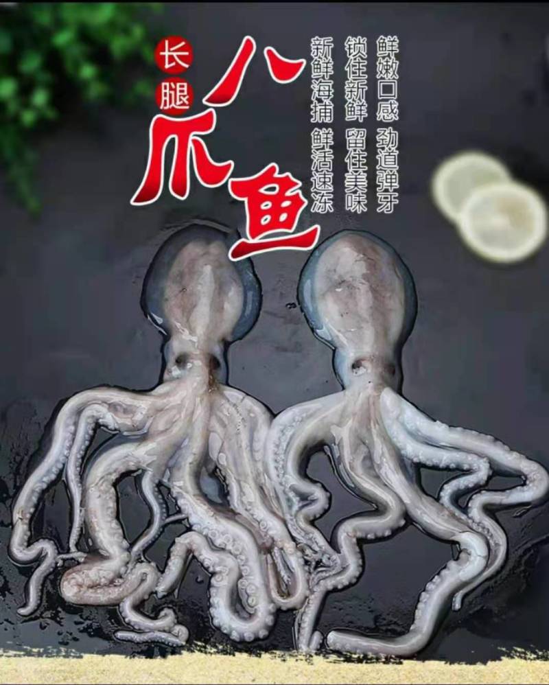 【新鲜速冻】八爪鱼花连云港水产海鲜章鱼长腿短腿仅4斤起