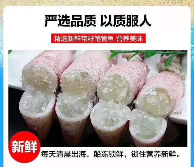 新鲜海兔新鲜速冻海兔籽乌