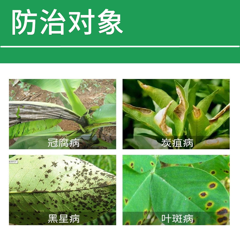 40%苯醚咪鲜胺西瓜蔬菜炭疽病叶斑真菌性农药杀菌剂